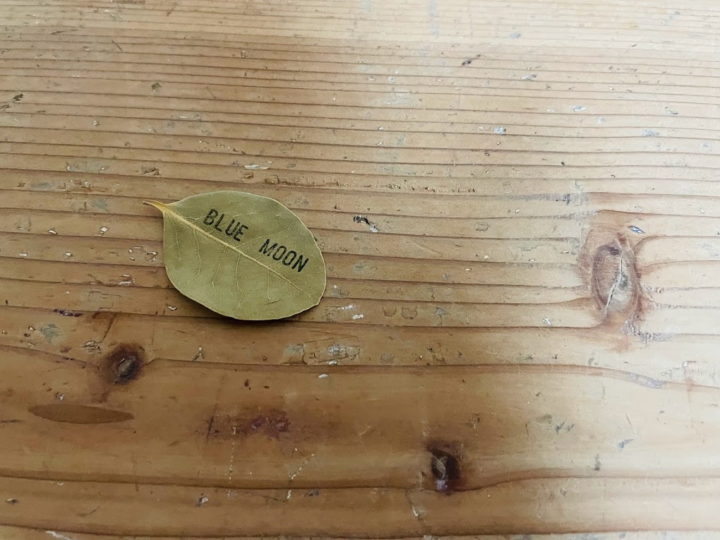 BLUE MOONのロゴ入りのローリエ